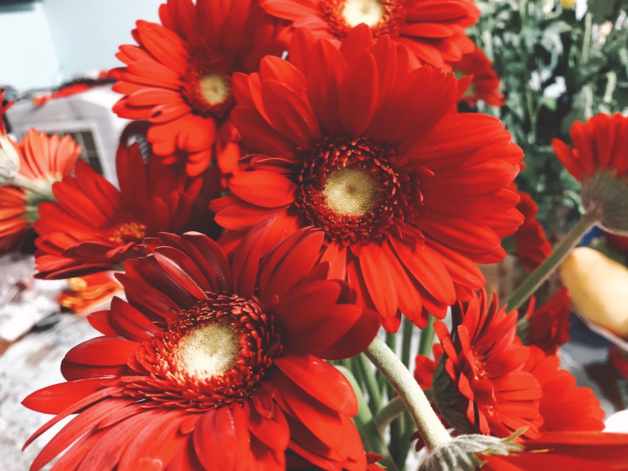 How to Host a Virtual Open House (and Attract More Buyers Online)